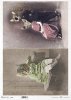 zwierzęta retro, zwierzęta w strojach, zoomorfizm, vintage, wiktoriańskie, kotek, koty, sfinksy*retro animals, animals in costumes, zoomorphism, vintage, Victorian, kitten, cats, sphinxes